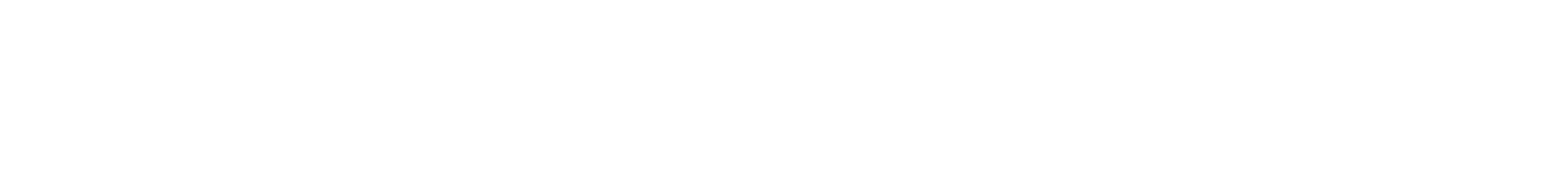 Particularist